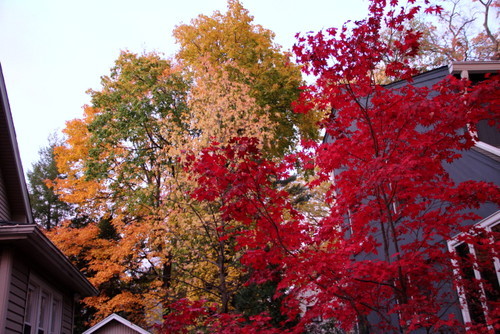 a0235705_08364785.jpg