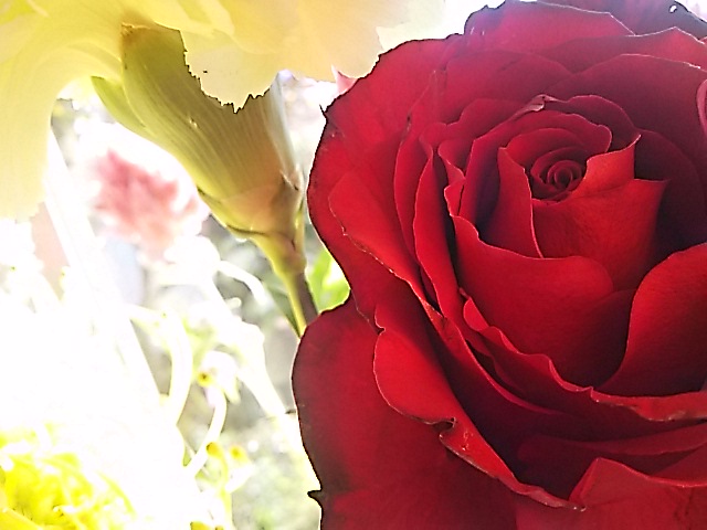 f0024708_1545559.jpg