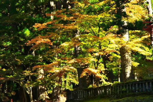 日光山　日光東照宮の紅葉2_a0263109_12530619.jpg