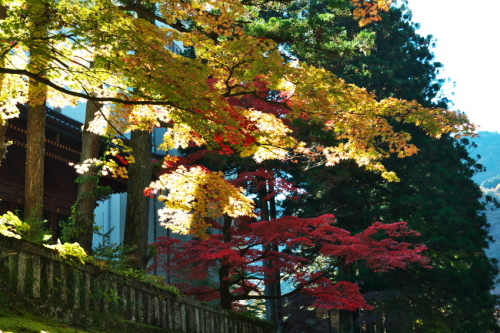 日光山　日光東照宮の紅葉2_a0263109_12530764.jpg