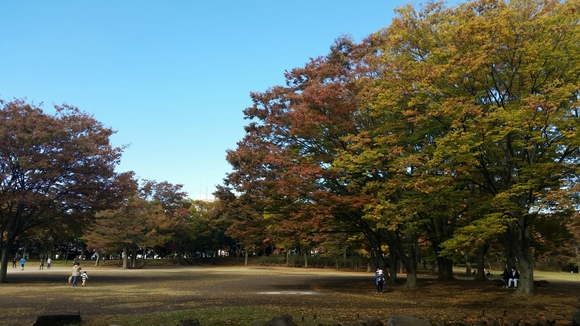 b0213609_142267.jpg
