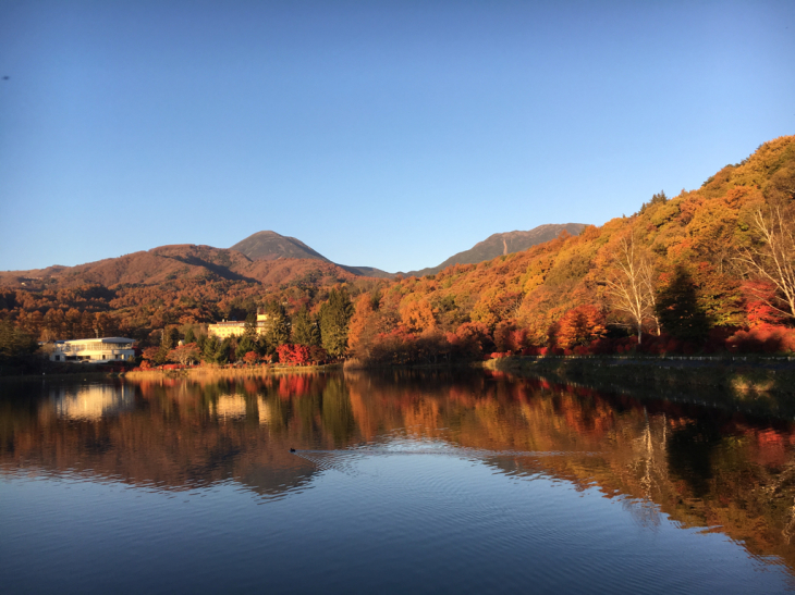 蓼科湖の紅葉_f0095309_11310599.jpg