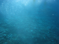 e0360512_14250483.jpg