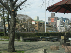 e0360512_14250964.jpg