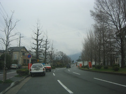 e0360512_14251254.jpg
