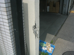 e0360512_14251942.jpg