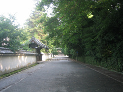 e0360512_14252024.jpg