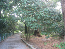 e0360512_14252032.jpg