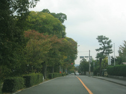 e0360512_14252767.jpg