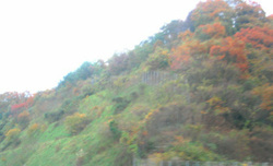 e0360512_14252823.jpg
