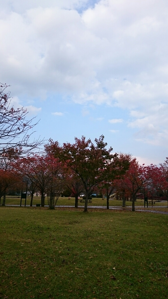 c0101913_16073615.jpg
