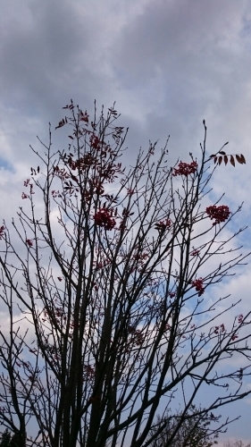 c0101913_16075865.jpg