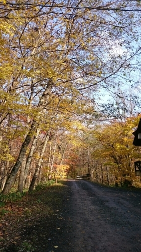 c0101913_16081214.jpg