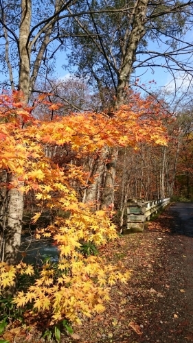 c0101913_16082583.jpg