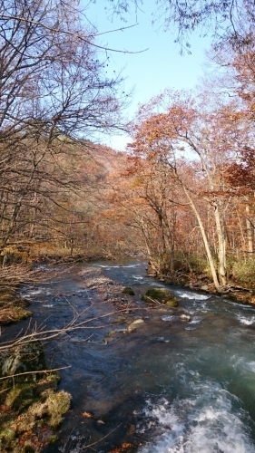 c0101913_16083223.jpg