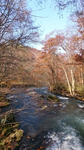 青森 〜八戸から奥入瀬 十和田湖_c0101913_16083223.jpg