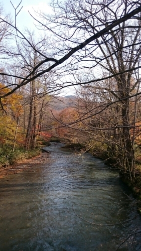 青森 〜八戸から奥入瀬 十和田湖_c0101913_16083950.jpg