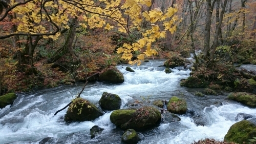 青森 〜八戸から奥入瀬 十和田湖_c0101913_16084352.jpg