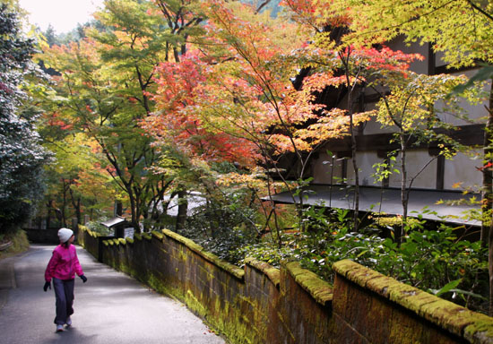 紅葉探訪2 吟松寺_e0048413_19475021.jpg