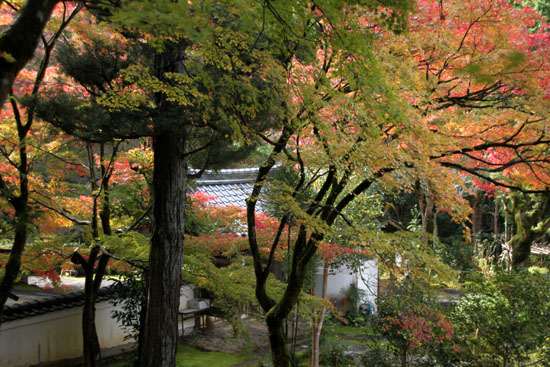 紅葉探訪2 吟松寺_e0048413_19482755.jpg