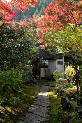 紅葉探訪2 吟松寺_e0048413_1949245.jpg