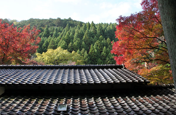 紅葉探訪2 吟松寺_e0048413_19492888.jpg