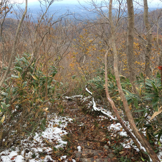 e0132713_16513501.jpg