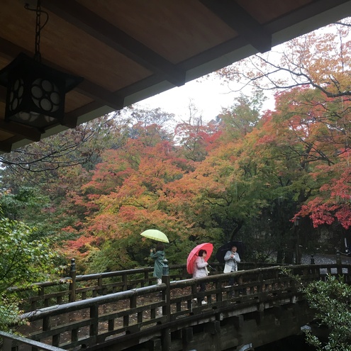 紅葉きれいになってきました_c0210517_11341333.jpg