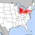 トランプの勝利と没落白人労働者層の反乱 - 反エスタブリッシュメントの民意_c0315619_17310203.jpg