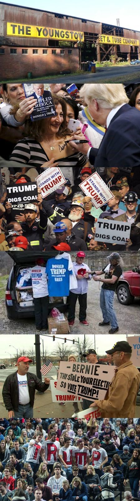 トランプの勝利と没落白人労働者層の反乱 - 反エスタブリッシュメントの民意_c0315619_17325081.jpg
