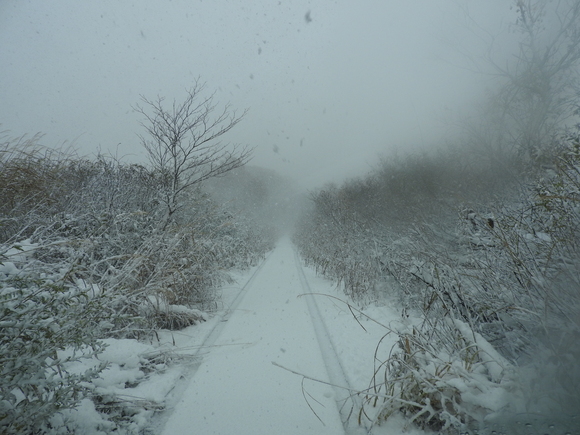 f0118332_029379.jpg