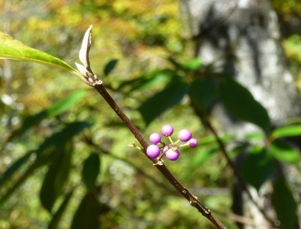 b0298935_22074980.jpg