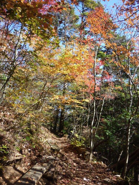 b0298935_22100523.jpg
