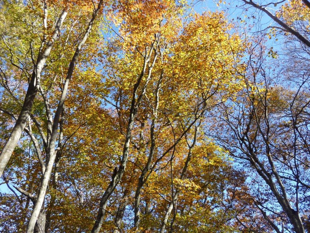 b0298935_22141413.jpg