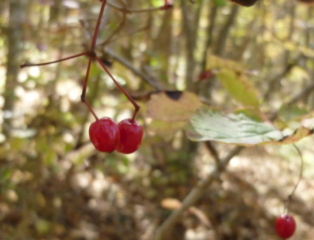 b0298935_22142501.jpg