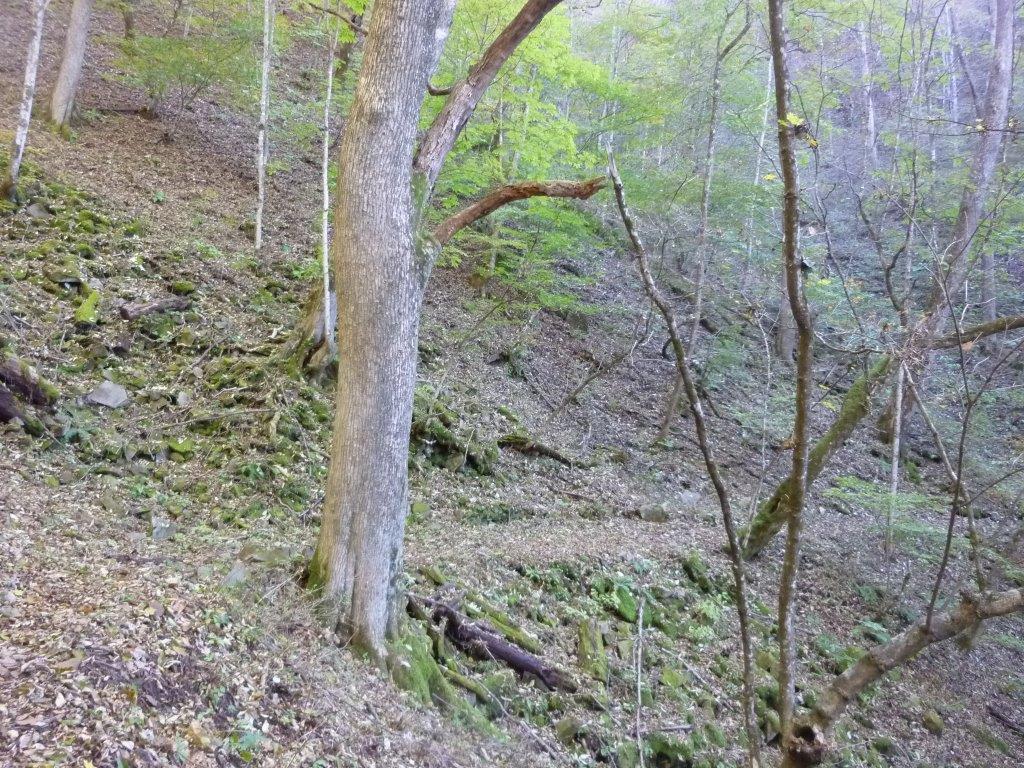 b0298935_22170535.jpg