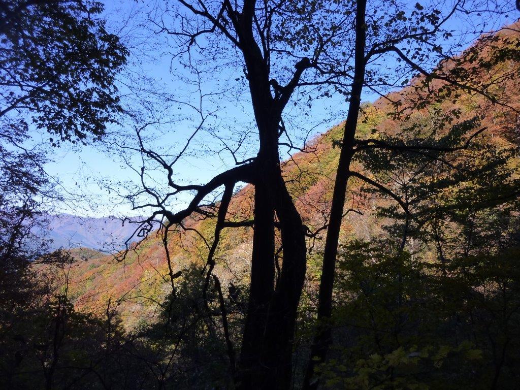 b0298935_22170980.jpg