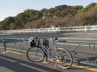 c0147935_22401049.jpg