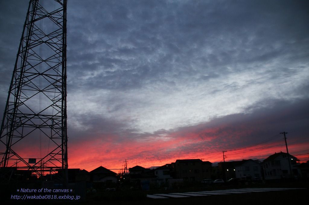e0052135_18232537.jpg