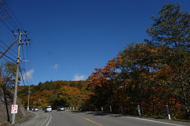a0287336_1953918.jpg