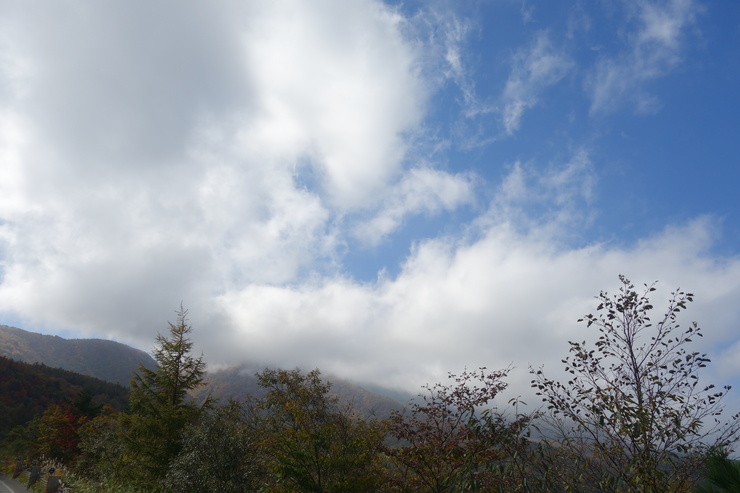 a0287336_1993027.jpg