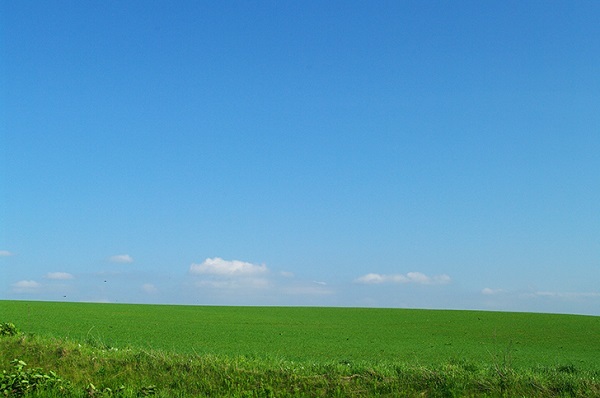 f0182936_19534165.jpg