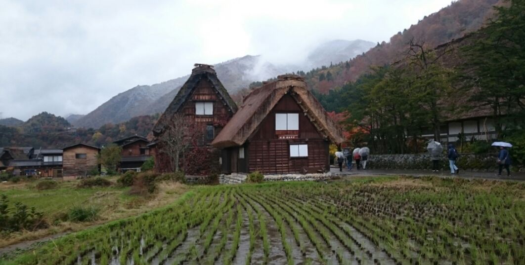 白川郷_f0081443_23193866.jpg