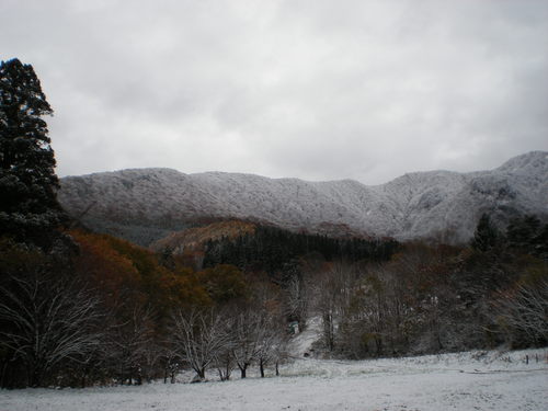 初雪_b0365347_1251163.jpg