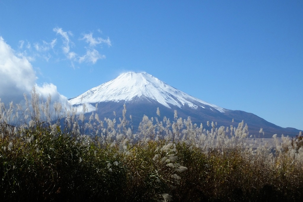 山中湖の富士山　　　　　　　　　_b0236251_13592110.jpg