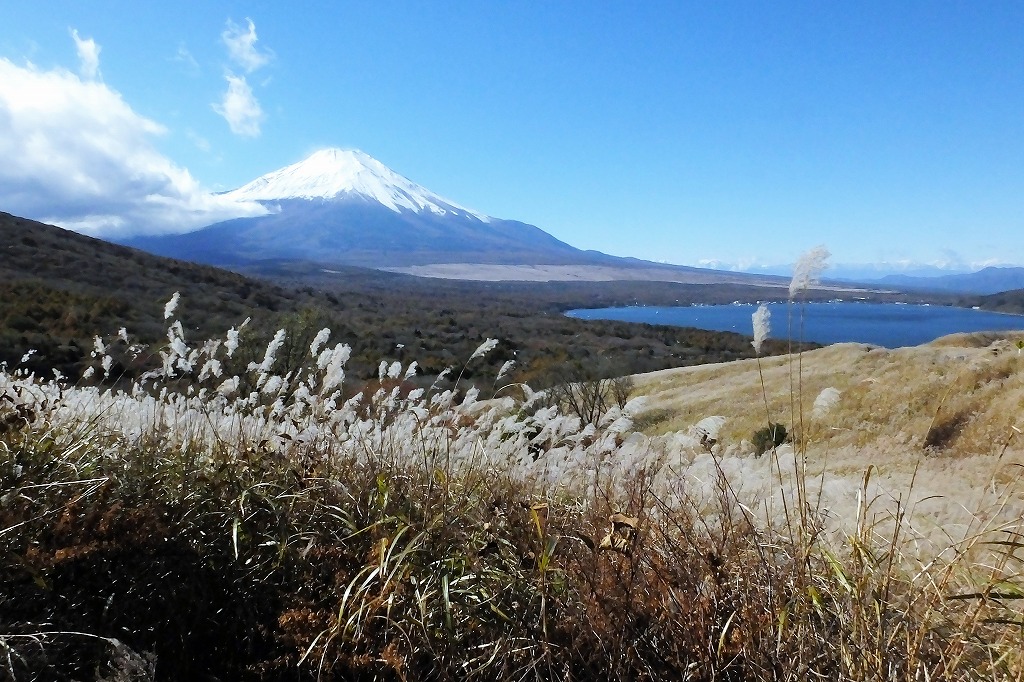 山中湖の富士山　　　　　　　　　_b0236251_13593545.jpg