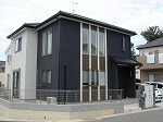 d0118053_1532456.jpg