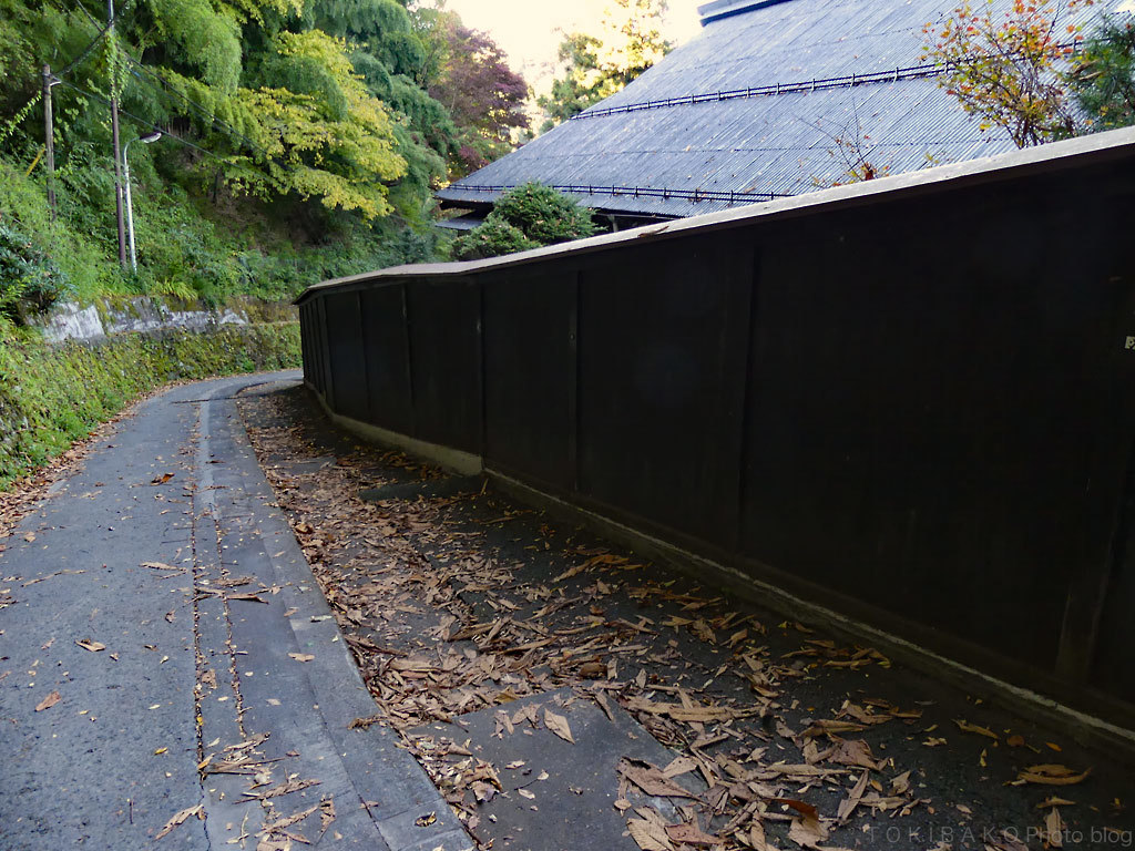 御岳山 #2 遥かなる武蔵御嶽神社へ_d0100156_23015252.jpg