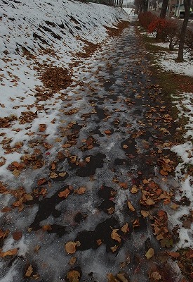 e0004756_20303.jpg