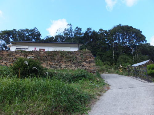 d0336460_01010298.jpg